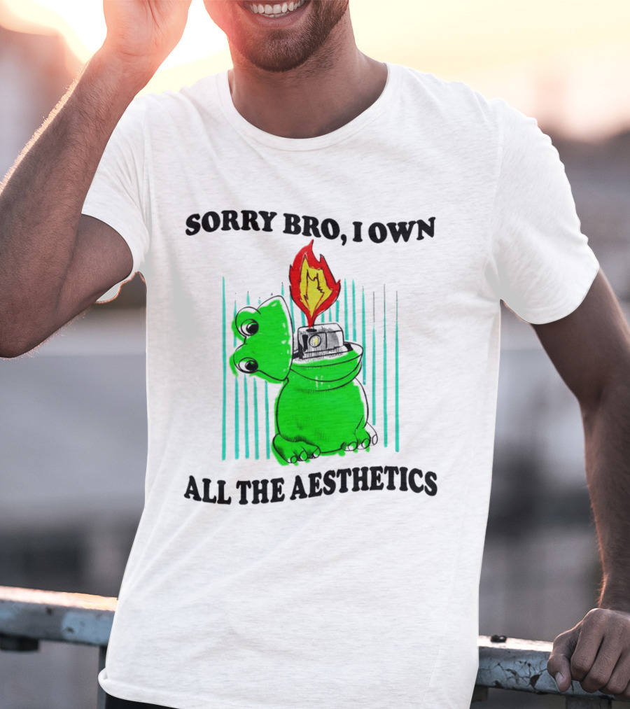 Sorry Bro I Own All The Aesthetics Melting Frog Lighter Flame T-Shirt