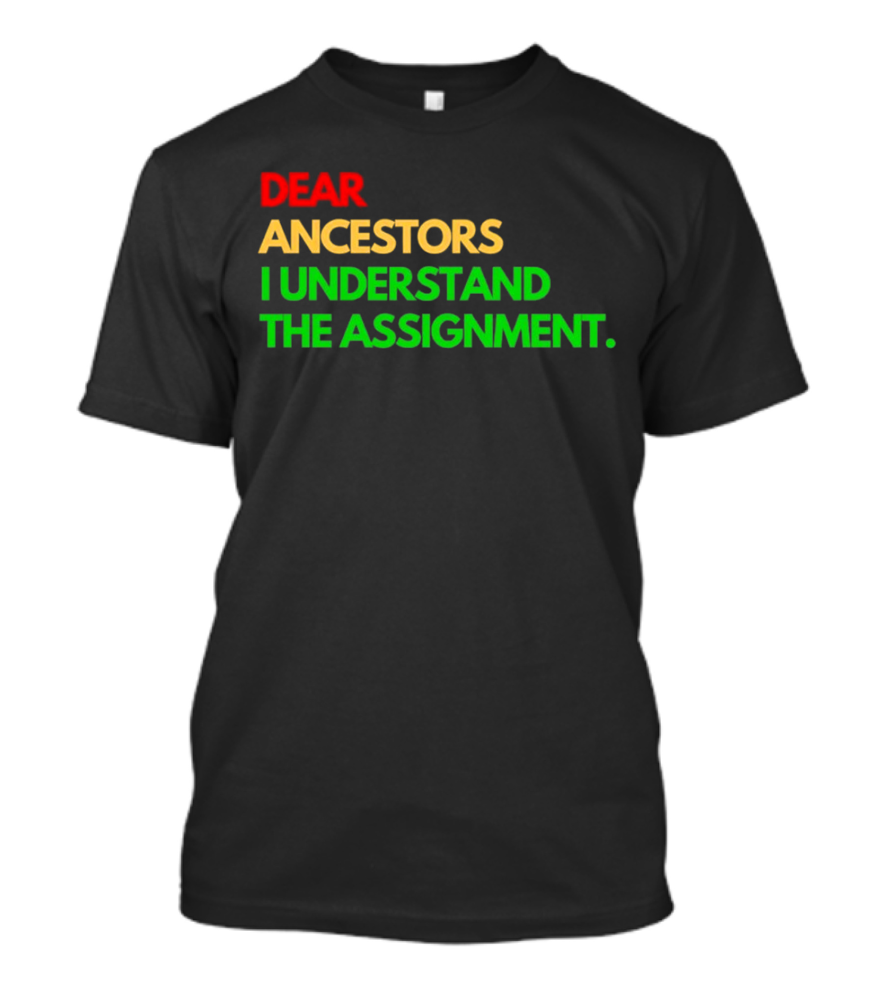 Dear Ancestors I Understand The Assignment T-Shirt