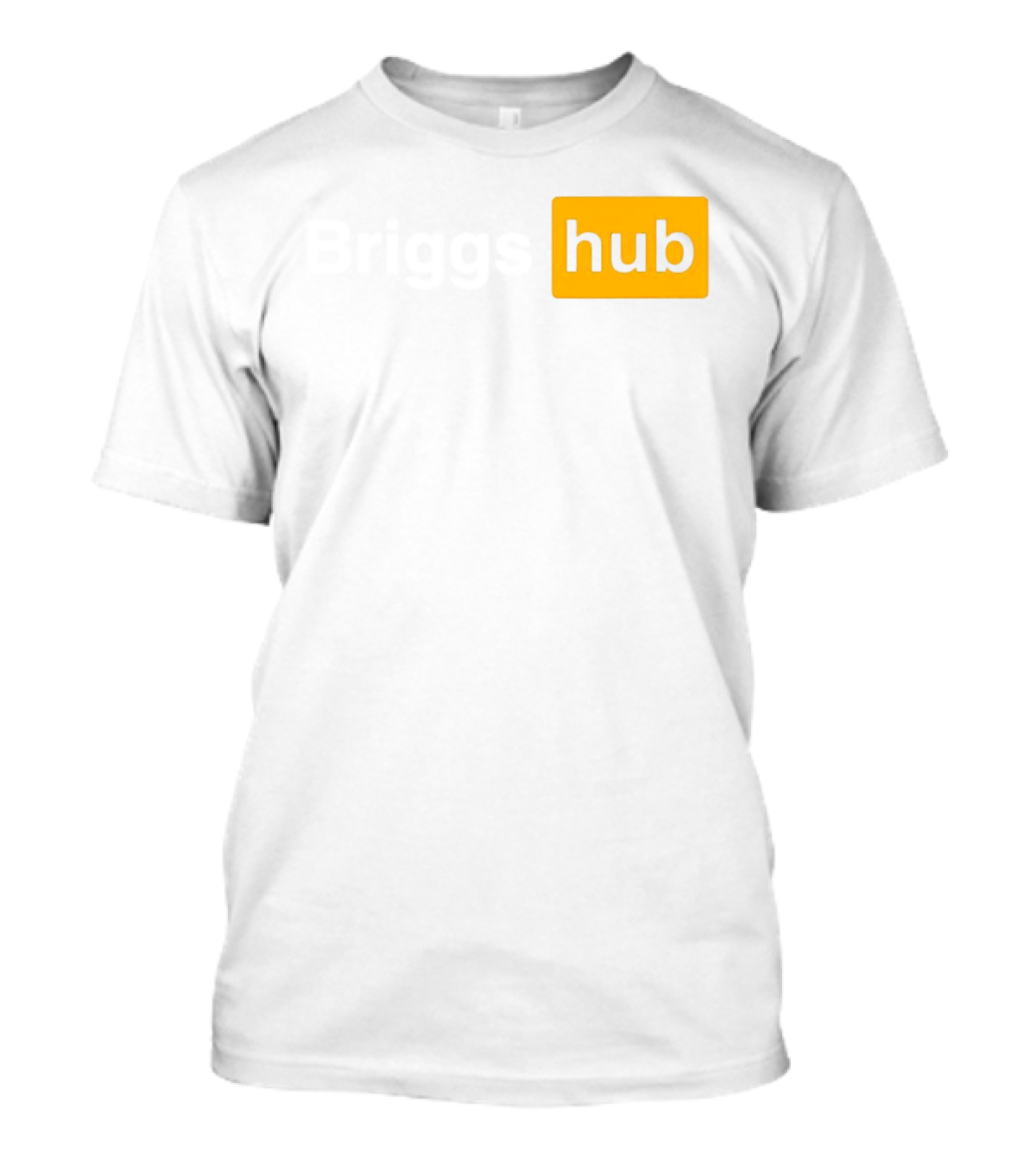 Briggs Hub Meme T-Shirt