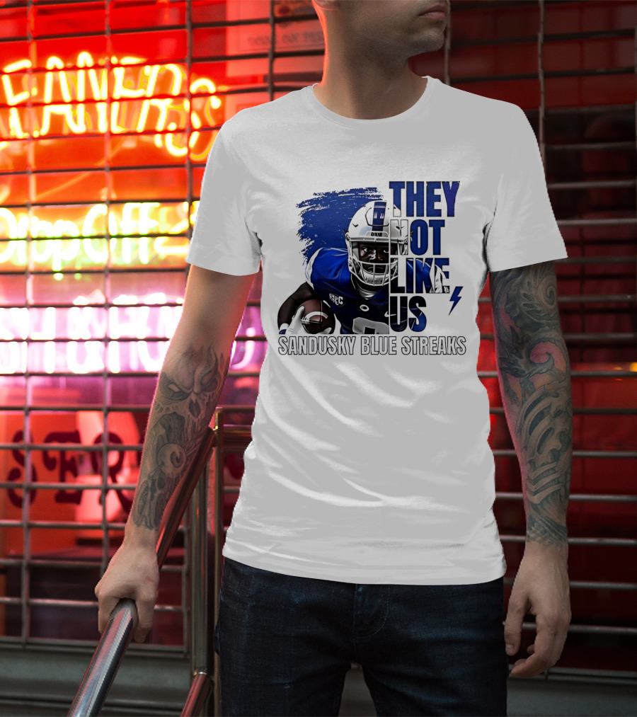Sandusky Blue Streaks They Not Like Us Football Player Grunge T-Shirt