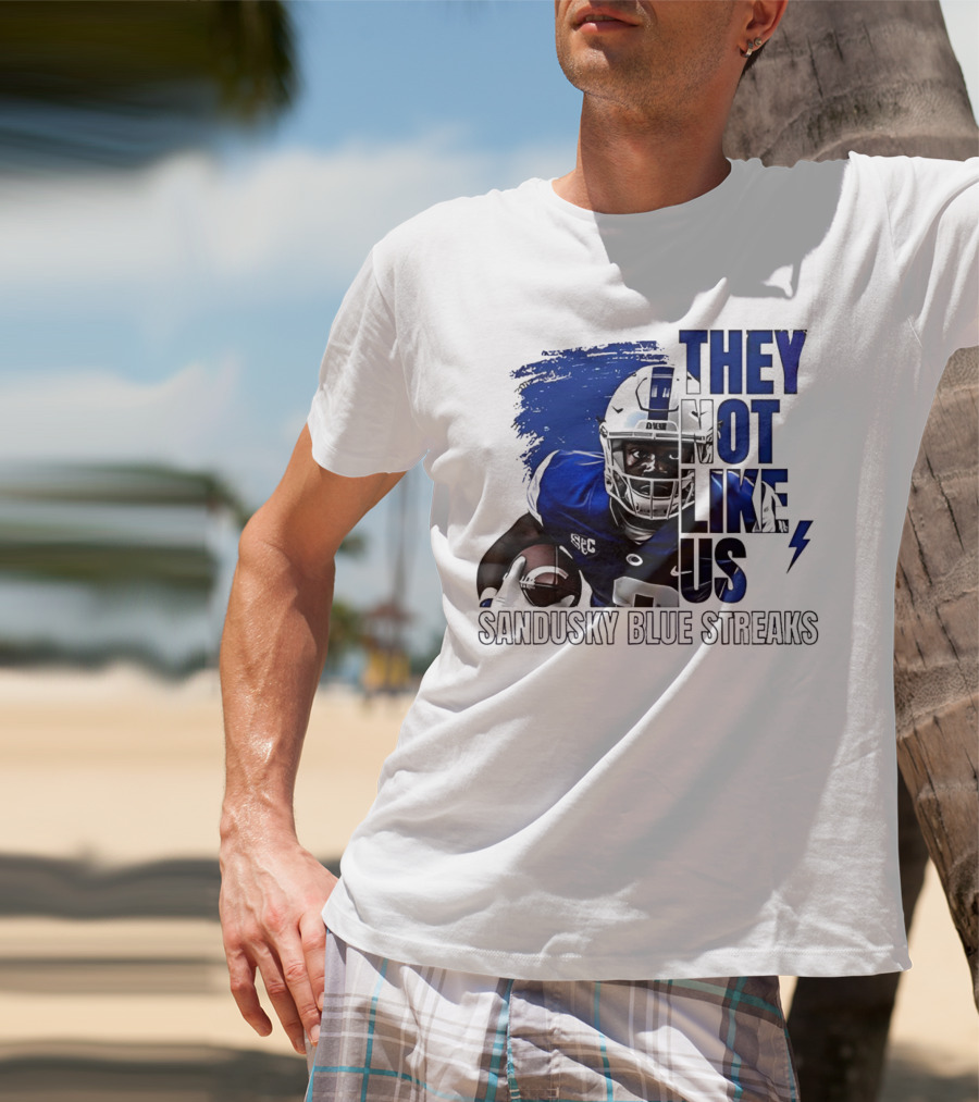 Sandusky Blue Streaks They Not Like Us Football Player Grunge T-Shirt