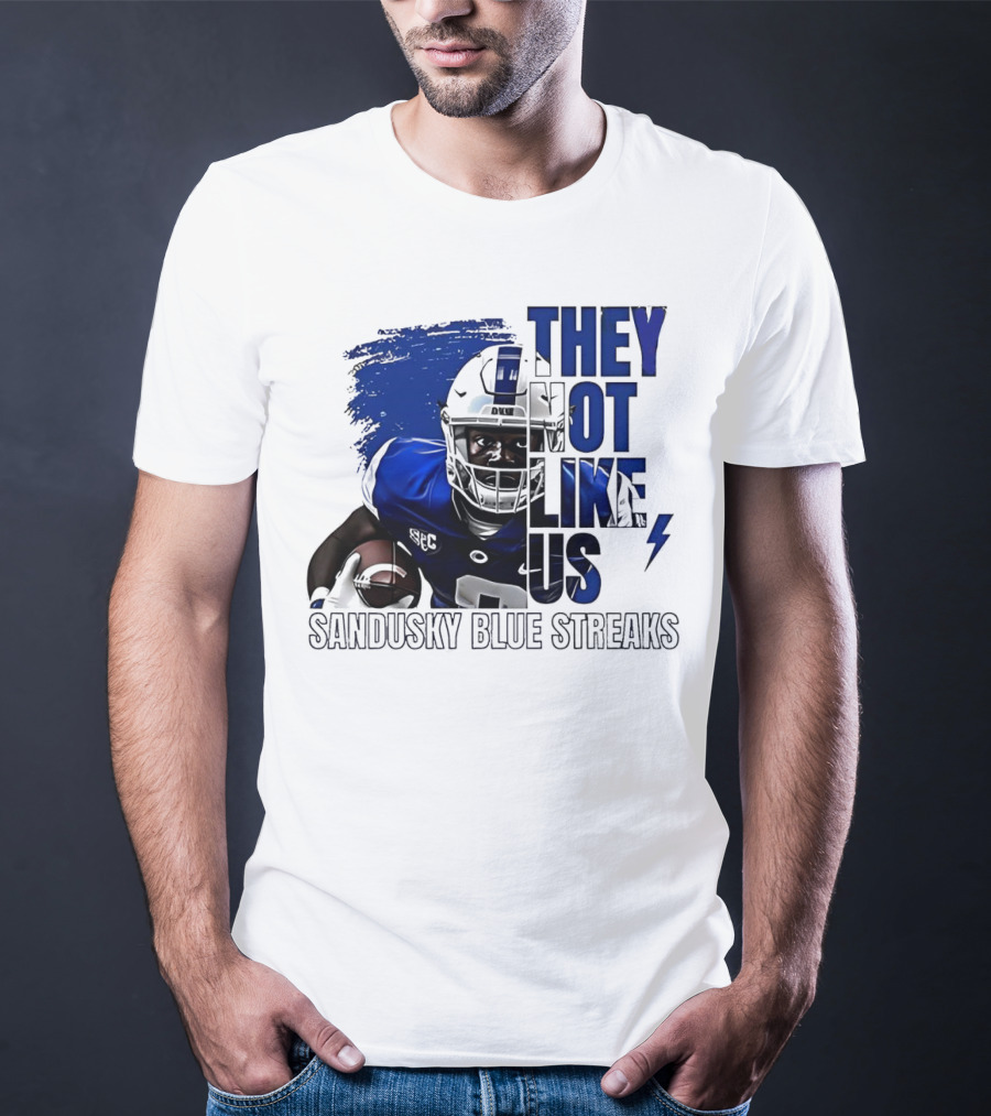 Sandusky Blue Streaks They Not Like Us Football Player Grunge T-Shirt