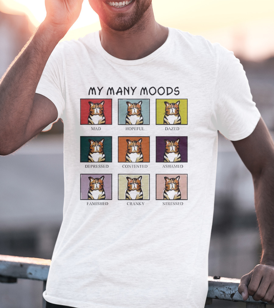 My Many Moods Mad Hopeful Dazed Depressed Contented Ashamed Famished Cranky Stressed T-Shirt