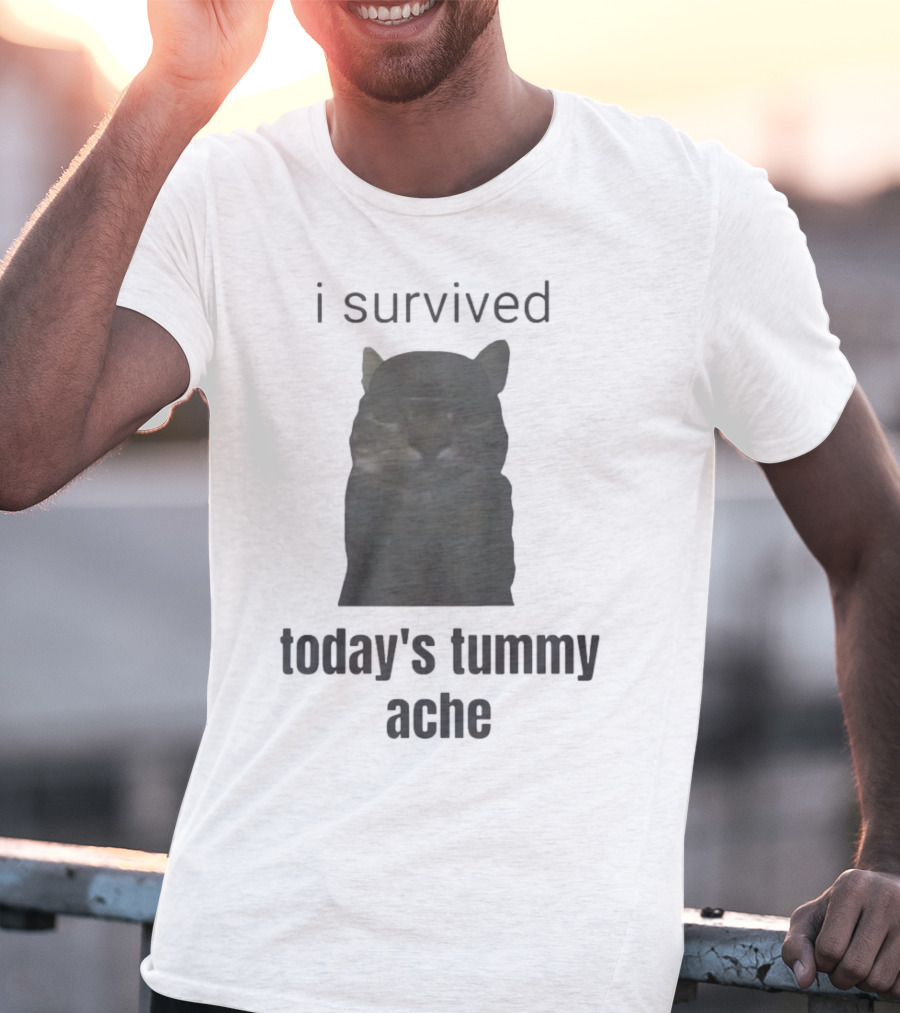 I Survived Today's Tummy Ache Cat Image T-Shirt