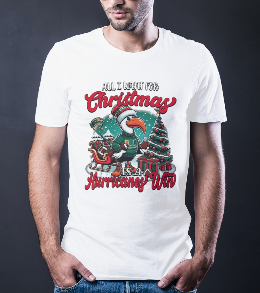 All I Want For Christmas Is A Hurricanes Win Santa Birdfest T-Shirt