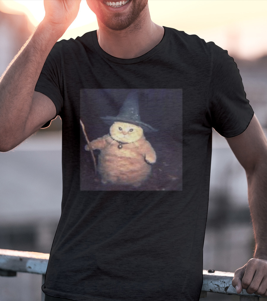 Cheeseball The Wizard Cat Meme Wearing Witch Hat And Holding Wand T-Shirt