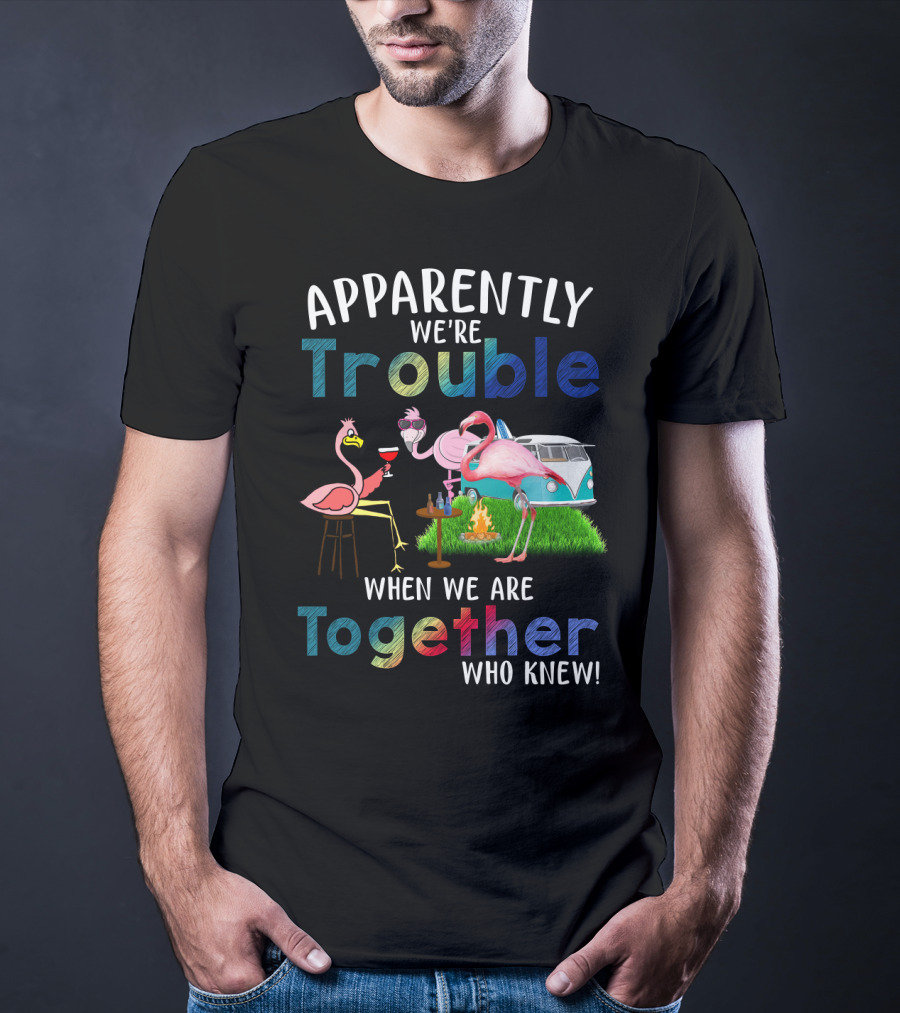 Apparently We're Trouble When We Are Together Flamingos Camping Van Campfire T-Shirt