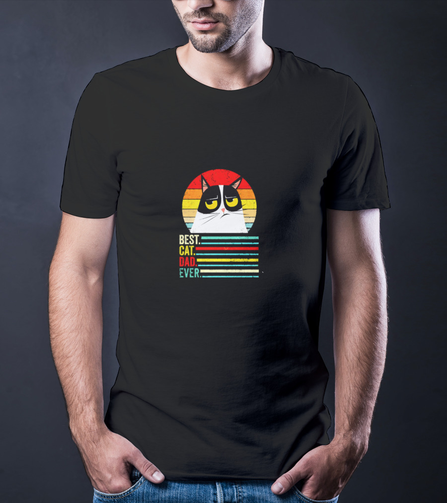 Grumpcat Best Cat Dad Ever Vintage Retro Circle Stripes T-Shirt