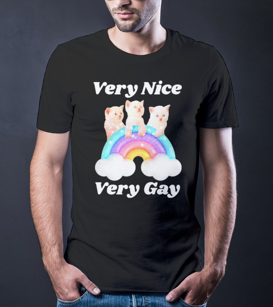 Very Nice Very Gay Cats On Rainbow T-Shirt