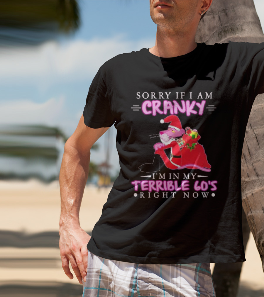 Sorry If I Am Cranky Pink Panther Santa I'm In My Terrible 60's Right Now T-Shirt