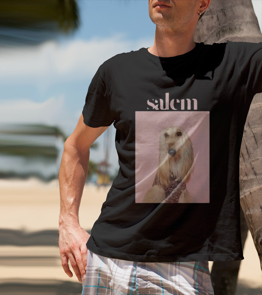 Salem Ilese Dog Afghan Hound Portrait On Pink Background T-Shirt