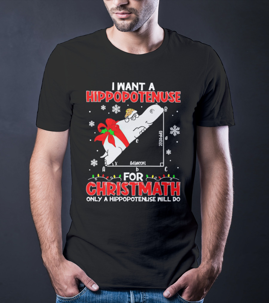 I Want A Hippopotenuse For Christmath Christmas Only A Hippopotenuse Will Do T-Shirt