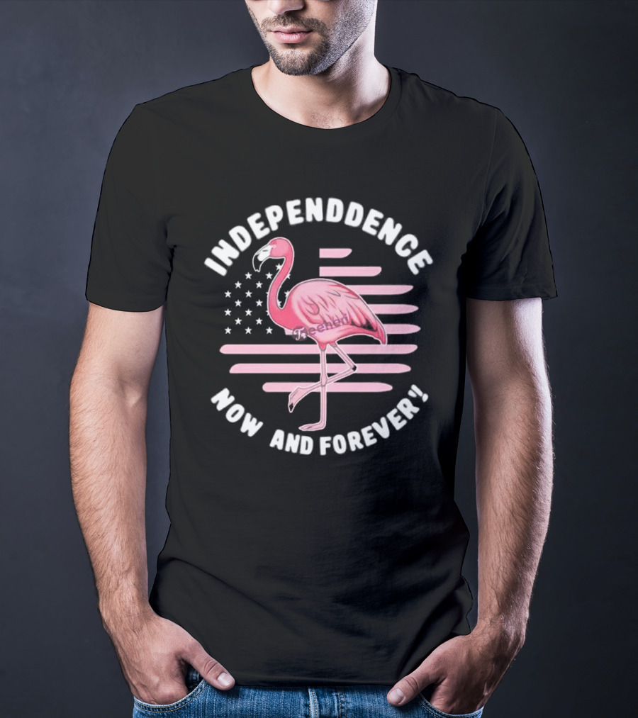 Independence Now And Forever Flamingo America Flag T-Shirt