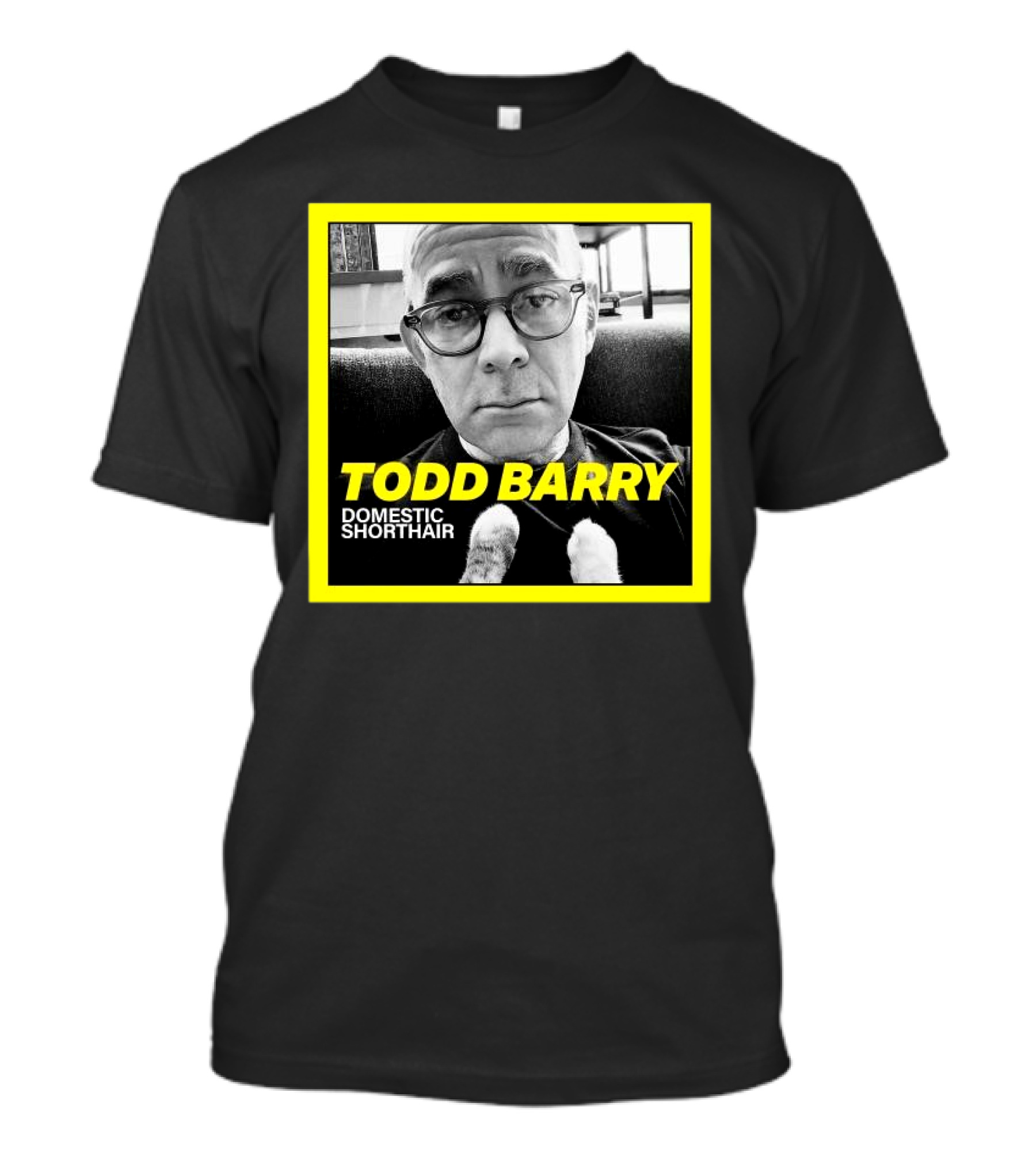 Todd Barry Domestic Shorthair Portrait With Cat Paws T-Shirt