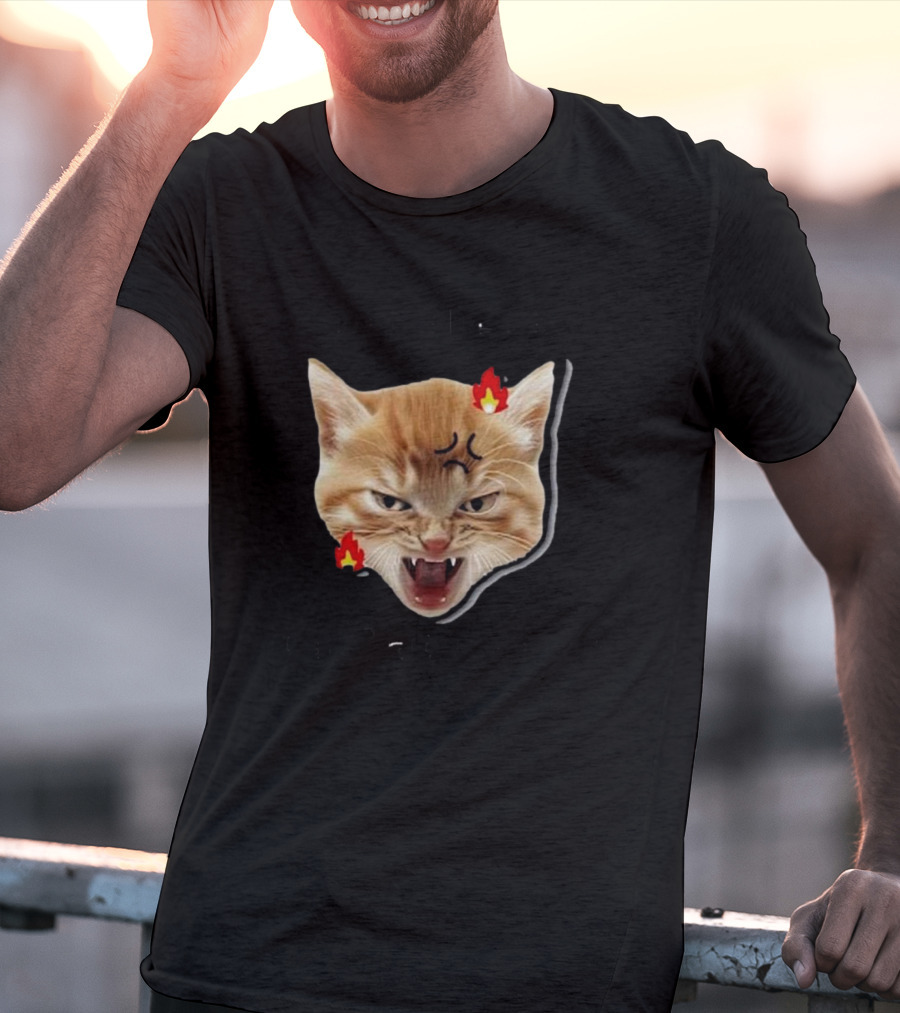 Childless Angry Cat Lady Voter Flame Emoji T-Shirt