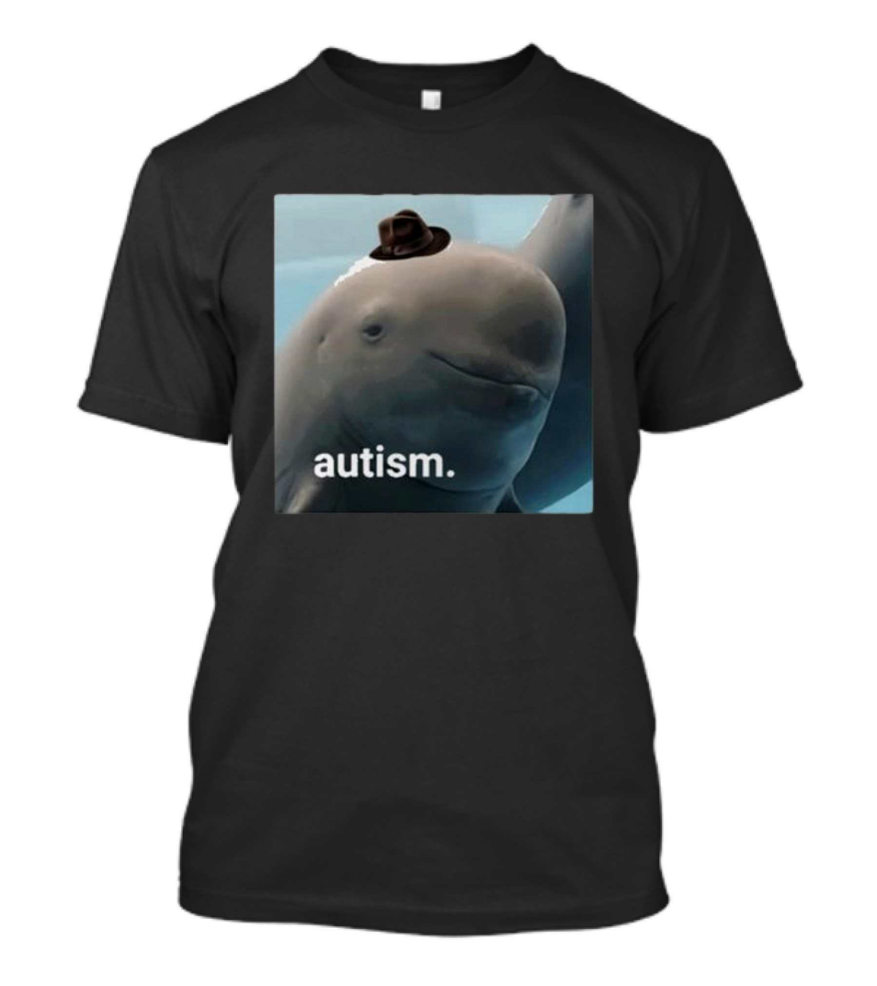Dolphin Wearing Hat Autism T-Shirt