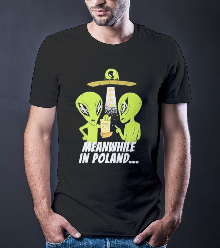 Meanwhile In Poland Alien Abduction Pierogi T-Shirt