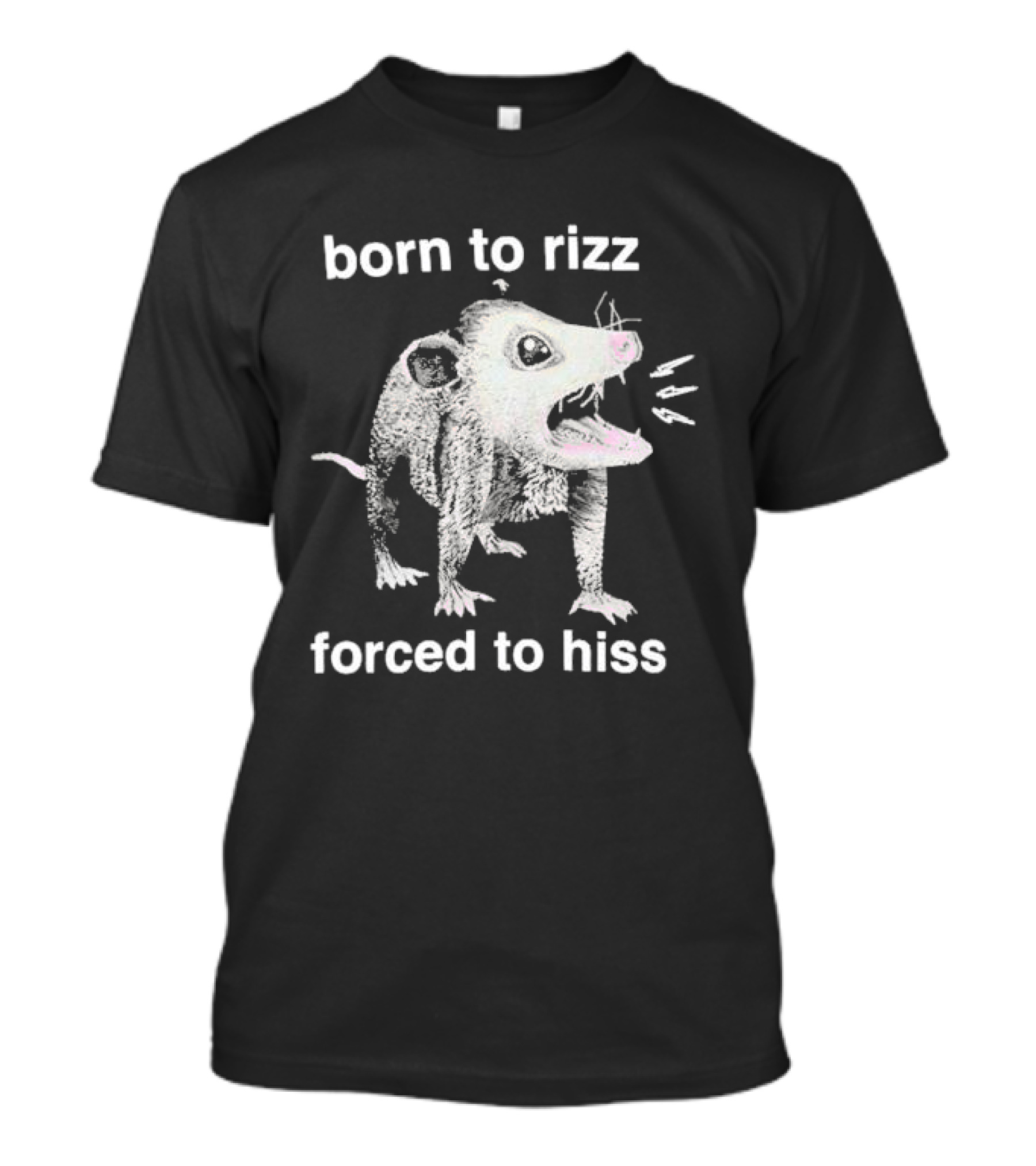 Born To Rizz Possum Forced To Hiss T-Shirt