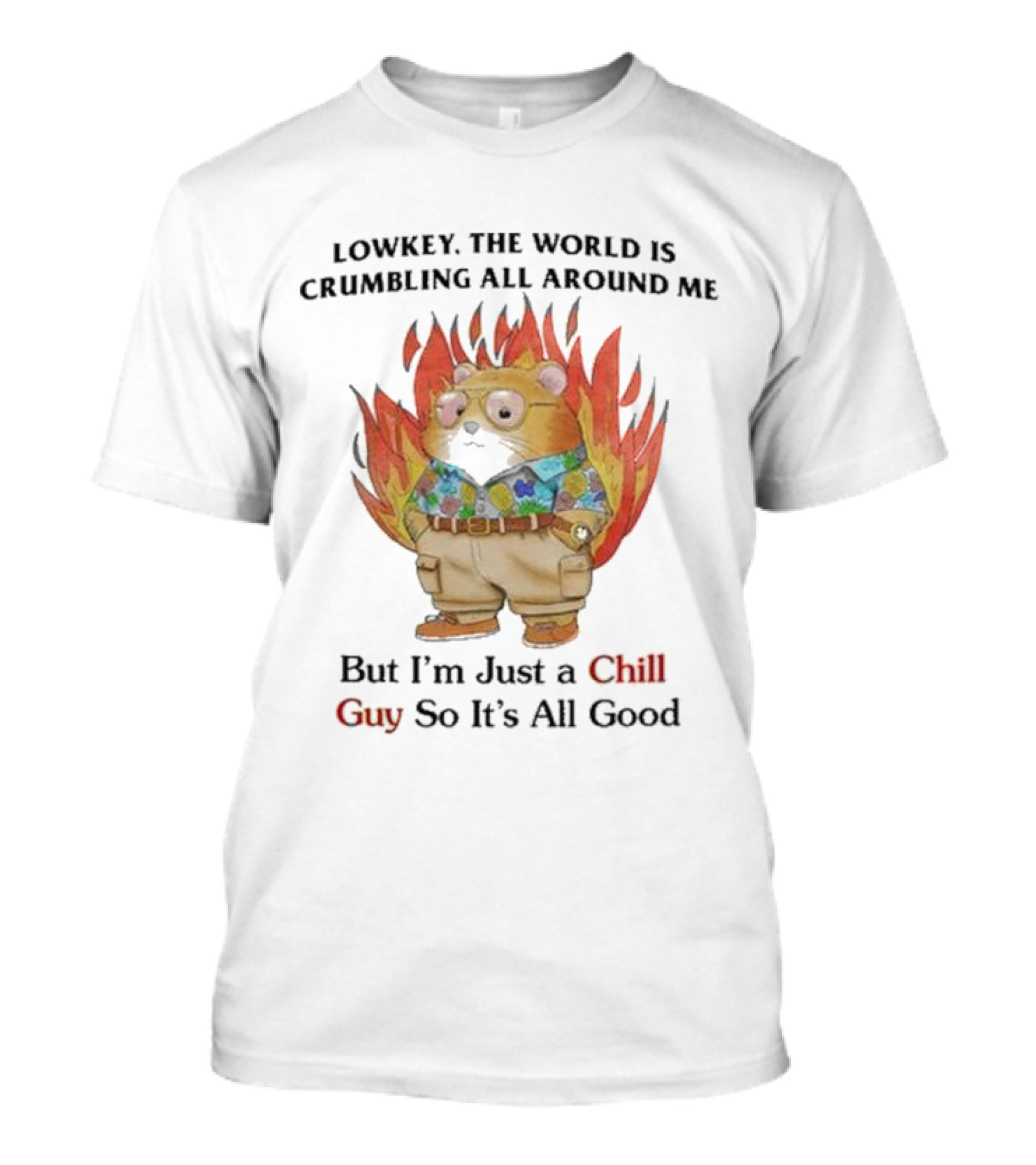 Chill Guy With World Crumbling Fire Background T-Shirt