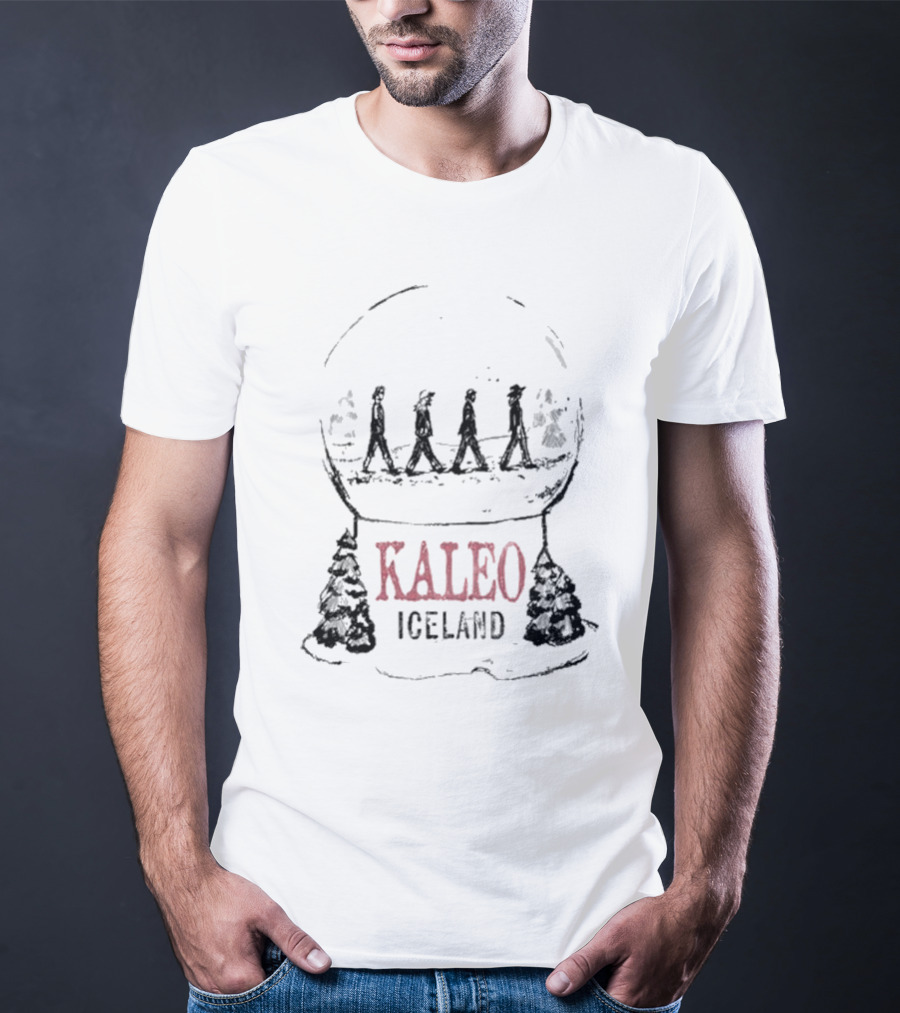 Kaleo Iceland Abbey Road Inspired Snow Globe T-Shirt