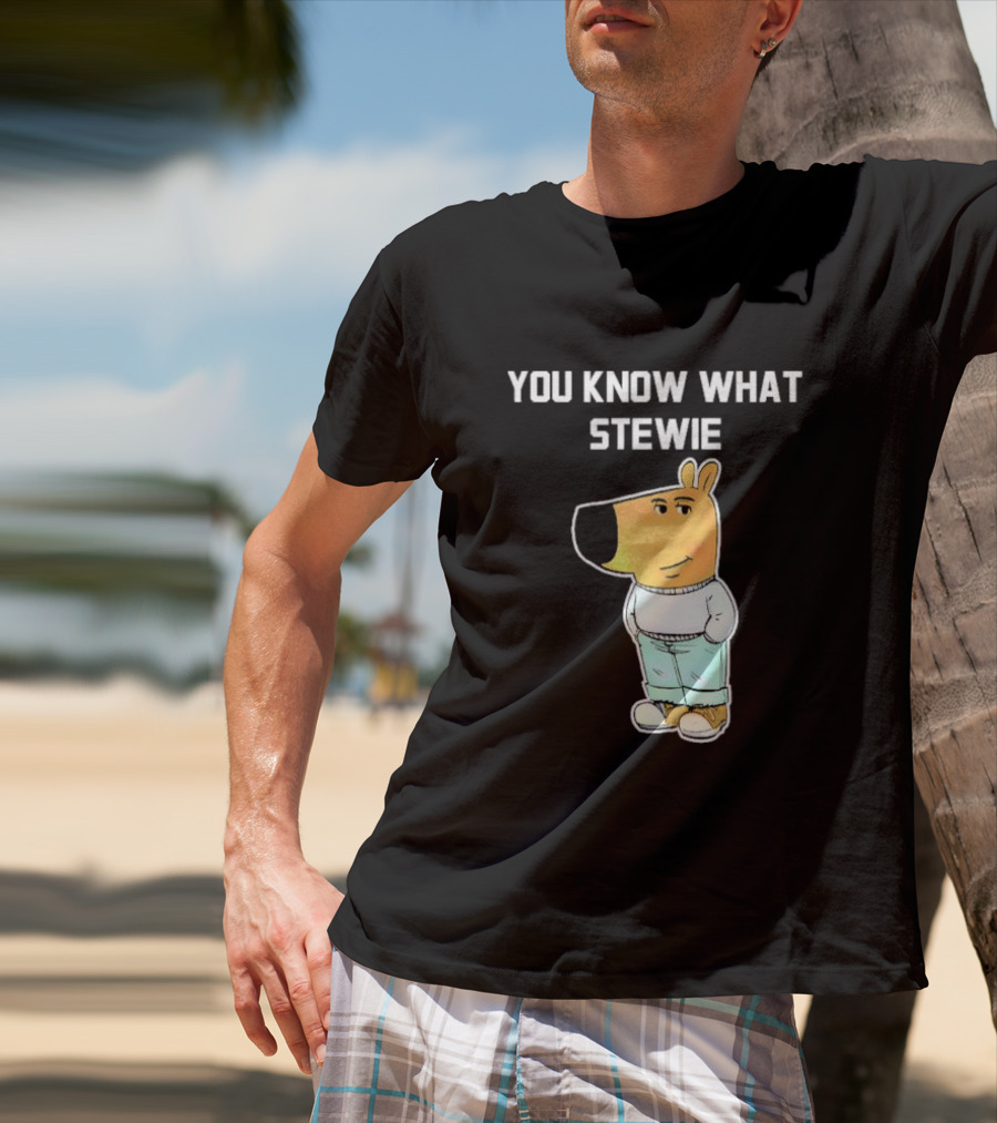 You Know What Stewie Chill Guy Sweater Cartoon T-Shirt
