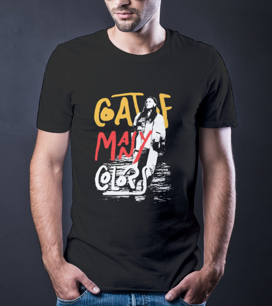 Brandon Lake Coat Of Many Colors T-Shirt