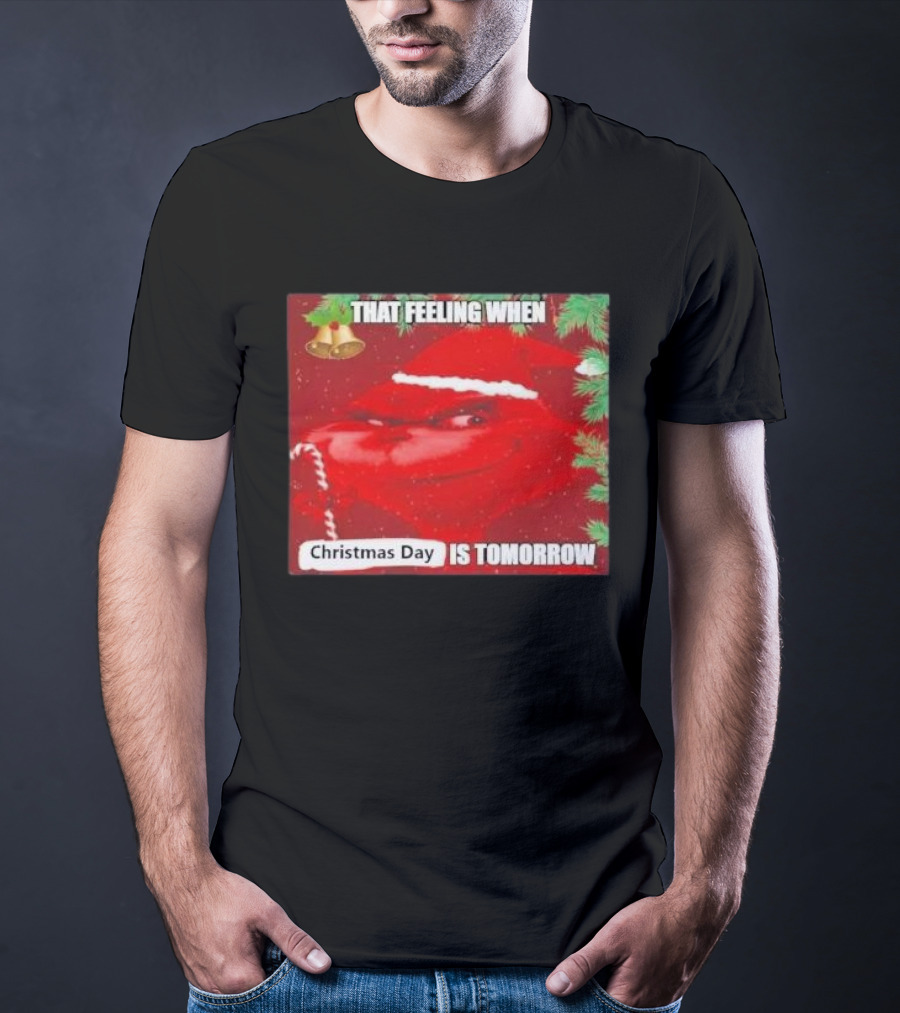That Feeling When Christmas Day Is Tomorrow Santa Grinch T-Shirt