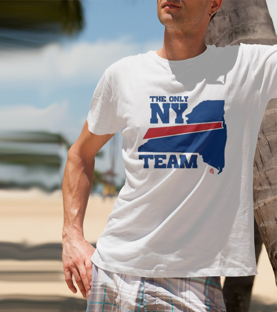 The Only NY Team New York State Silhouette Red Stripe T-Shirt