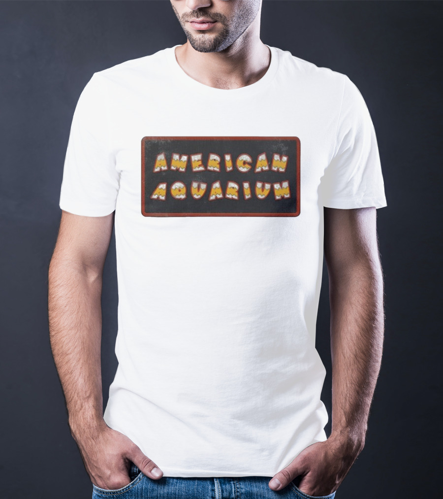 American Aquarium Vintage Aesthetic Letters T-Shirt