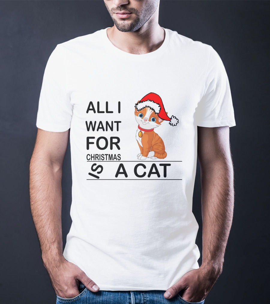 All I Want For Christmas Is A Cat Wearing Santa Hat T-Shirt