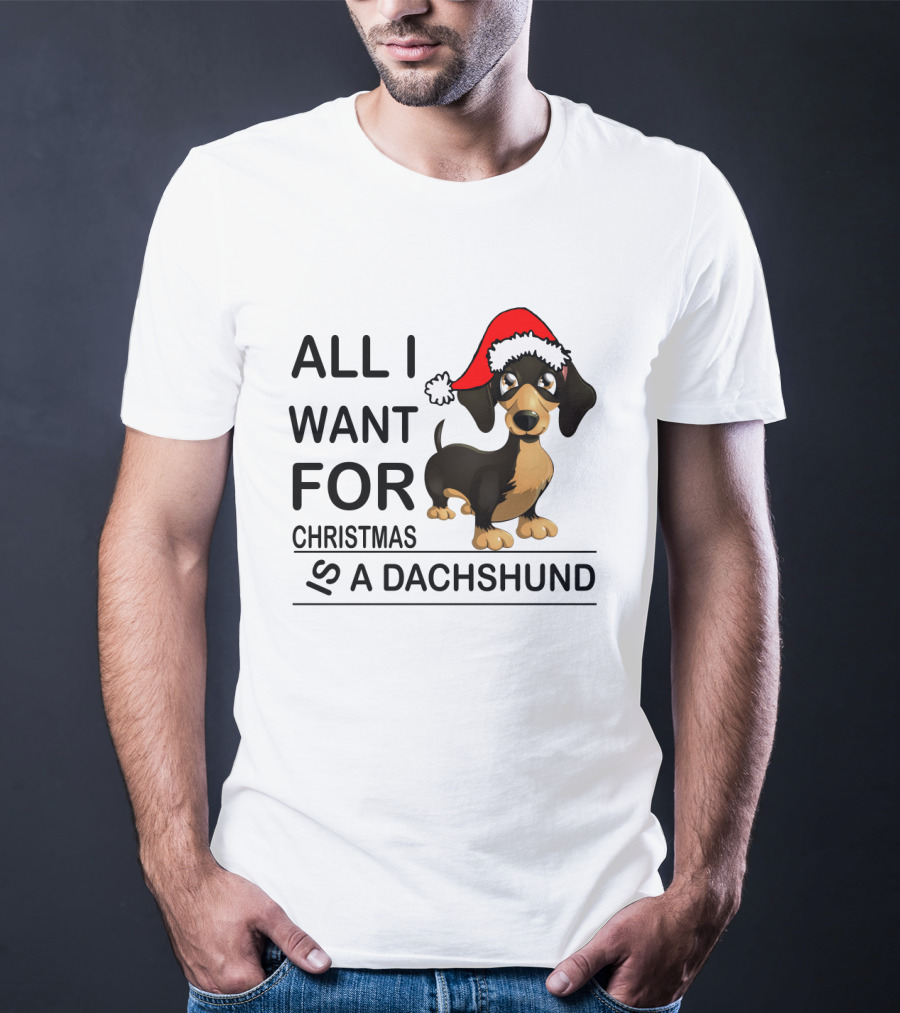 All I Want For Christmas Is A Dachshund Wearing Santa Hat T-Shirt