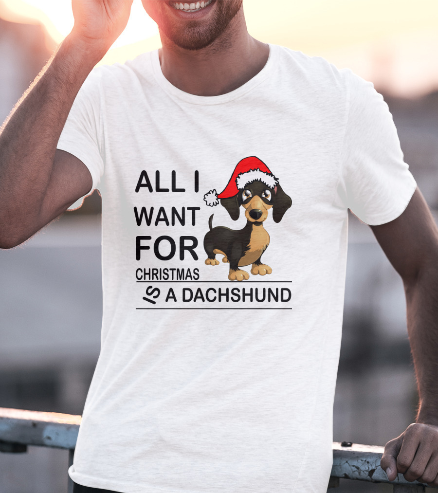 All I Want For Christmas Is A Dachshund Wearing Santa Hat T-Shirt