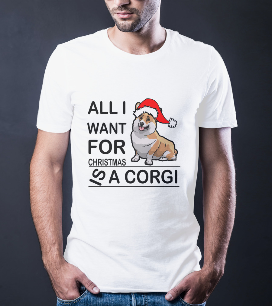 All I Want For Christmas Is A Corgi With Santa Hat T-Shirt