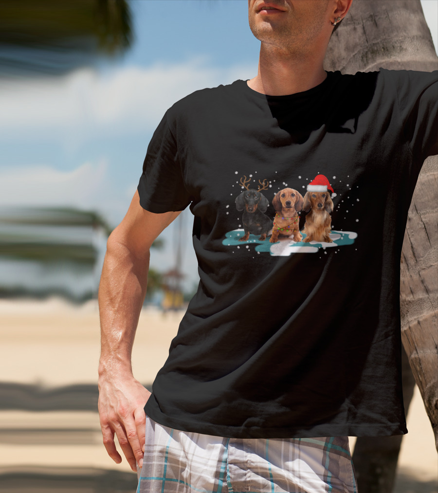Dachshund Christmas Trio With Antlers And Santa Hat In Snowy Scene T-Shirt