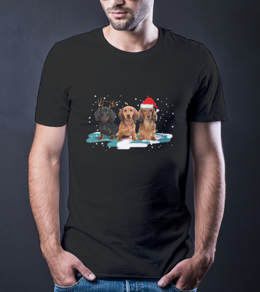 Dachshund Christmas Trio With Antlers And Santa Hat In Snowy Scene T-Shirt