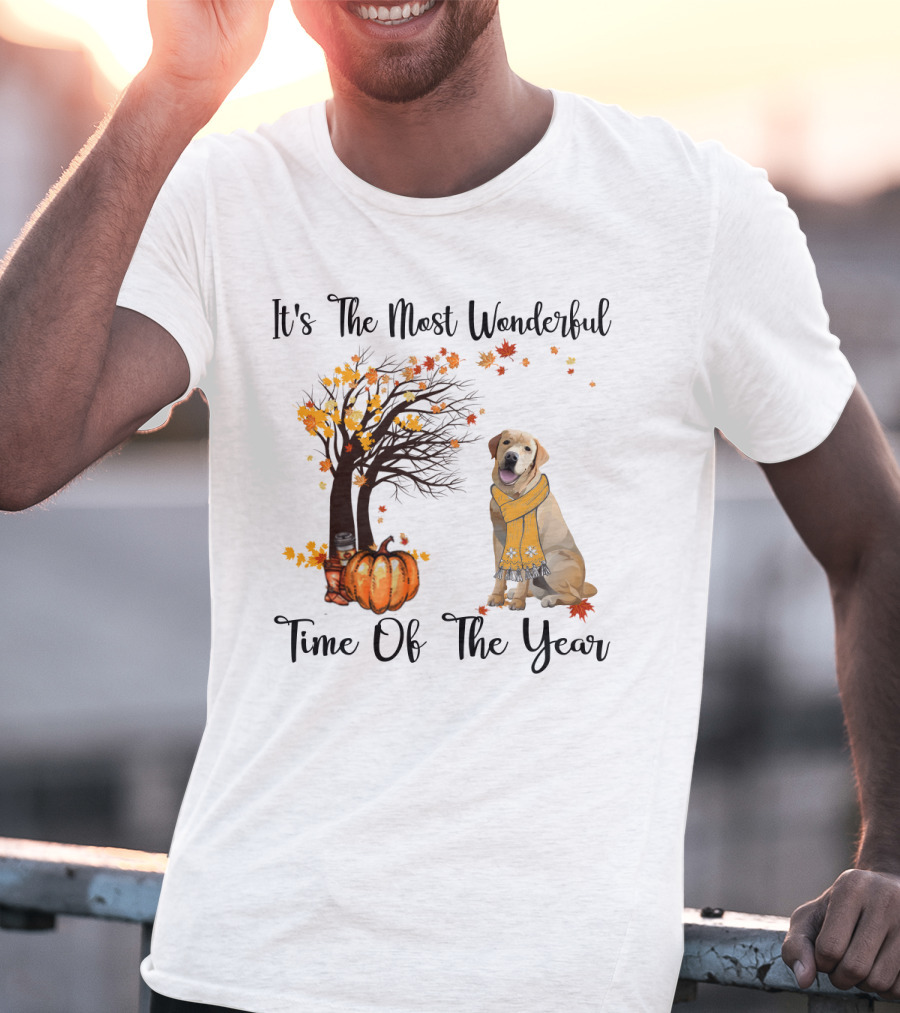 It's The Most Wonderful Time Of The Year Labrador Autumn Pumpkin Leaves T-Shirt