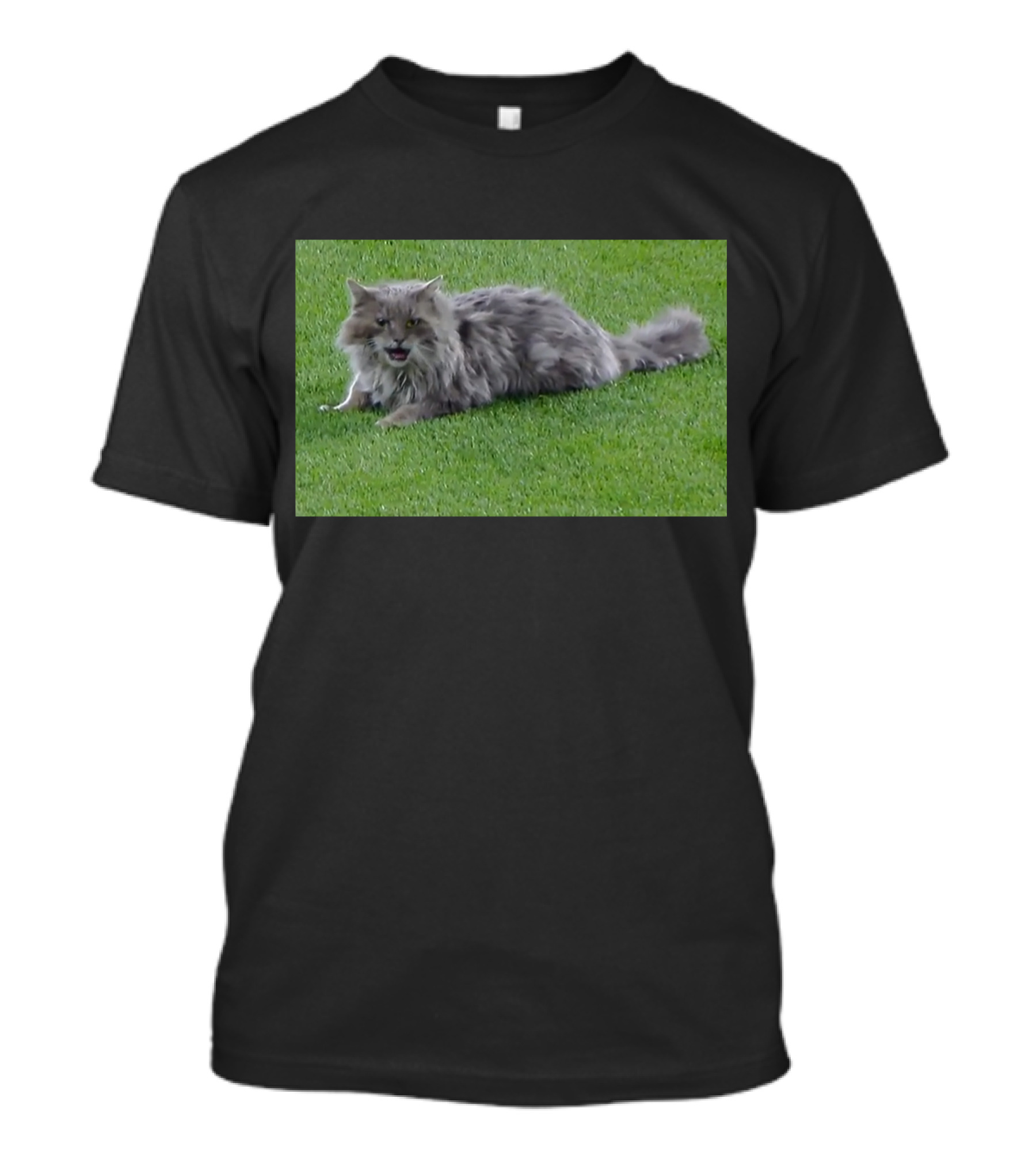 Cat Stops Play At Los Angeles Dodgers Stadium Event T-Shirt