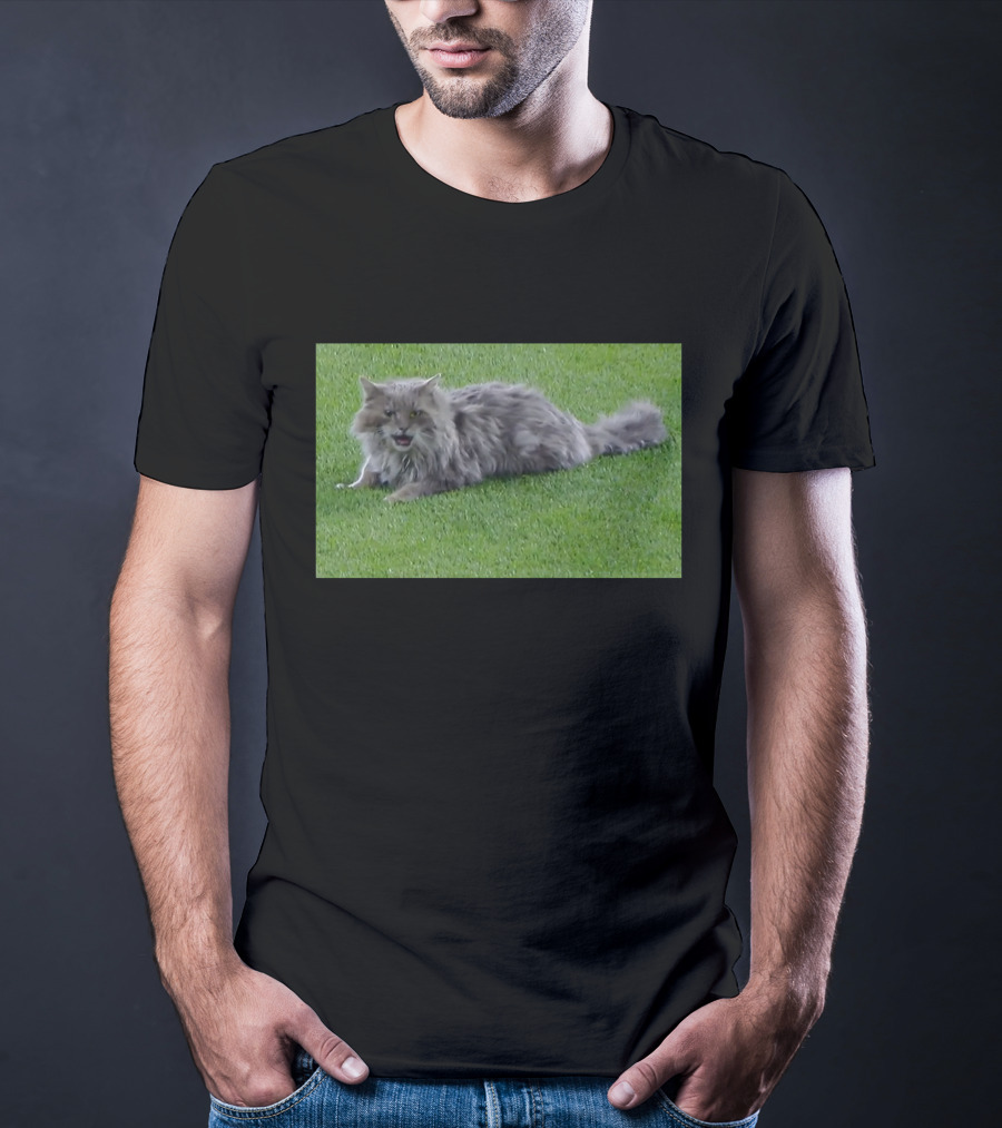 Cat Stops Play At Los Angeles Dodgers Stadium Event T-Shirt