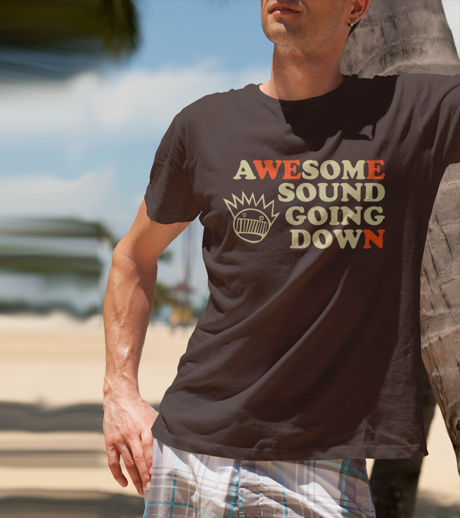 Awesome Sound Going Down Ween Boognish T-Shirt