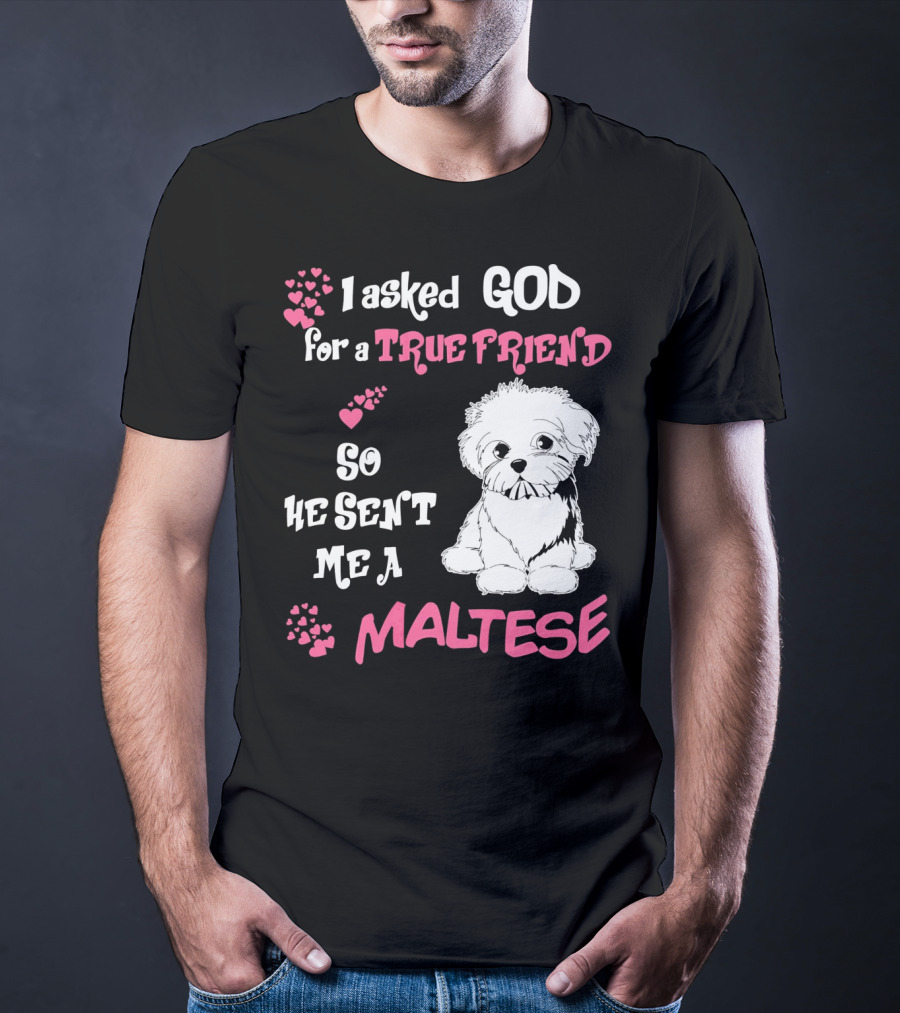 I Asked God For A True Friend So He Sent Me A Maltese T-Shirt