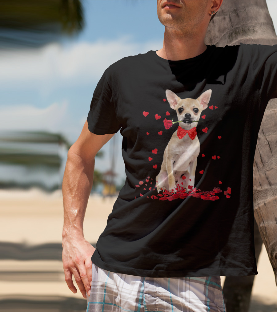 Chihuahua Valentine's Day Rose And Hearts T-Shirt