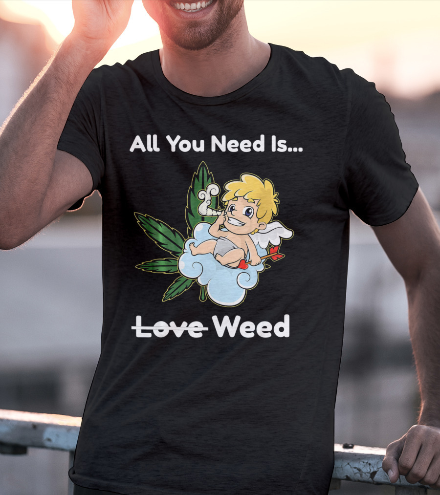 All You Need Is Weed Funny Valentines Day Cupid Smoki T-Shirt