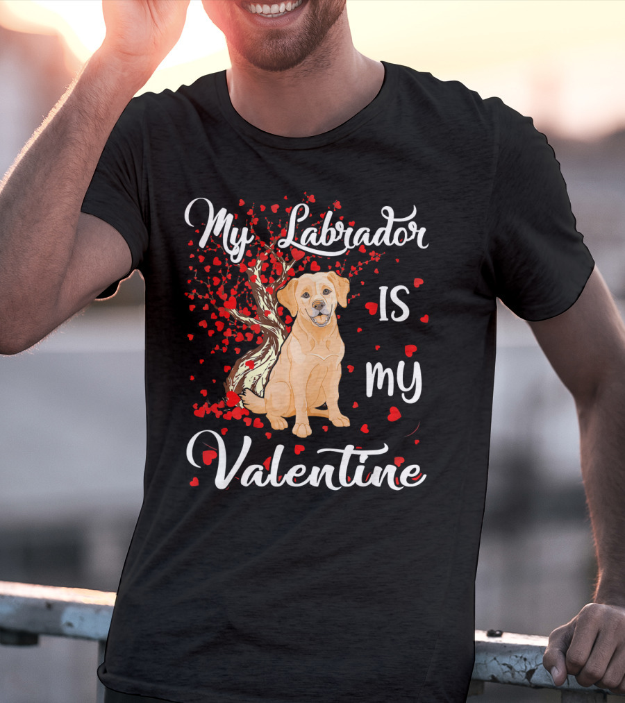 My Labrador Is My Valentine T-Shirt