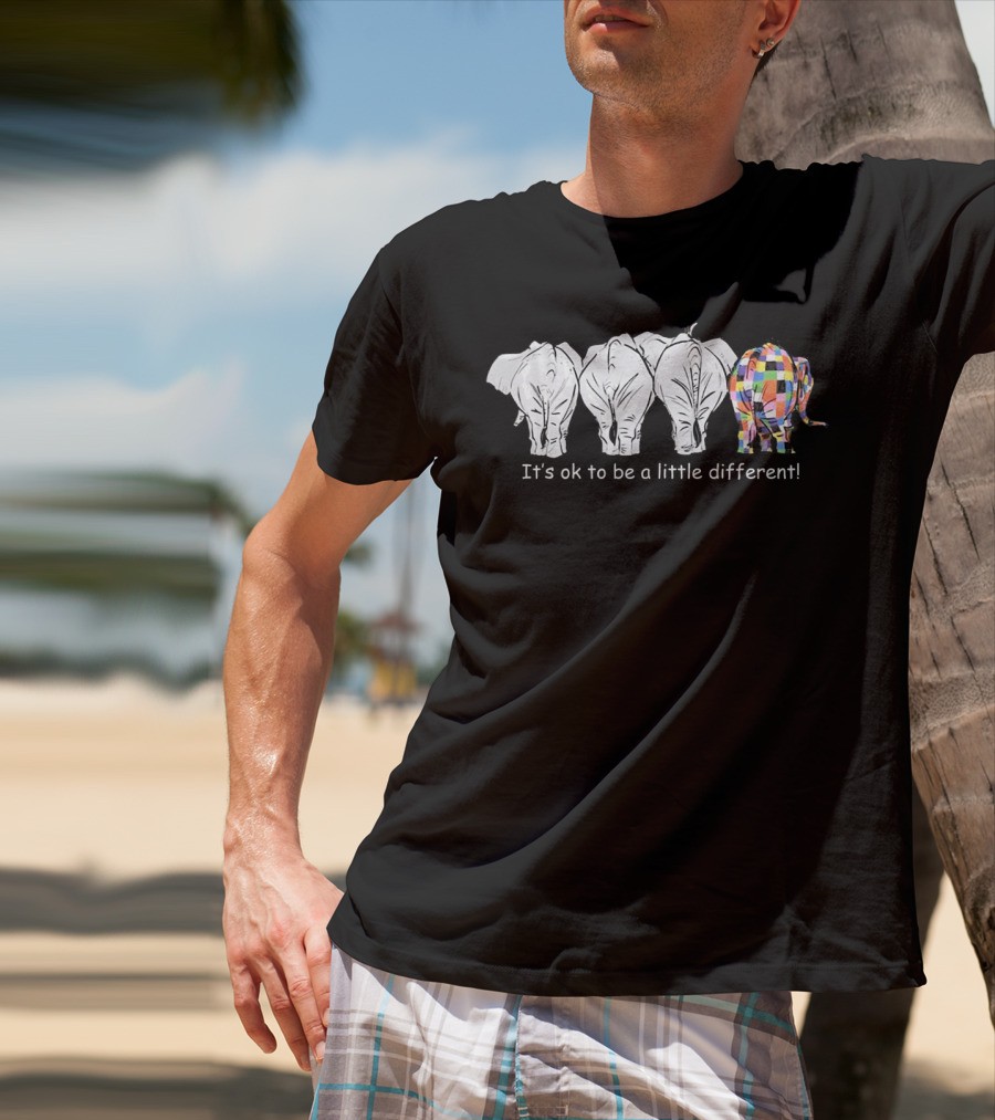 It's Ok To Be A Little Different Autism Colorful Elephant T-Shirt