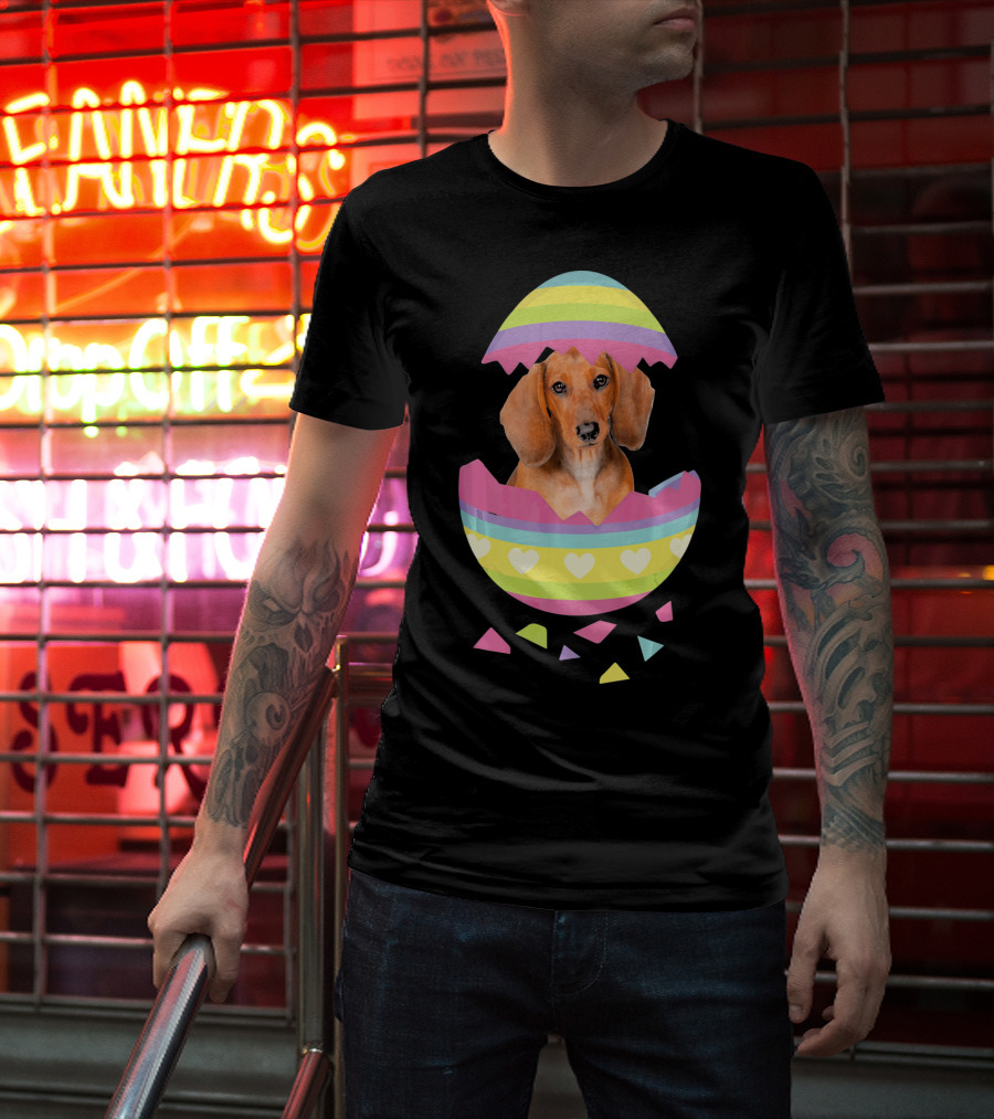 Dachshund In Colorful Easter Egg With Heart Stripes T-Shirt