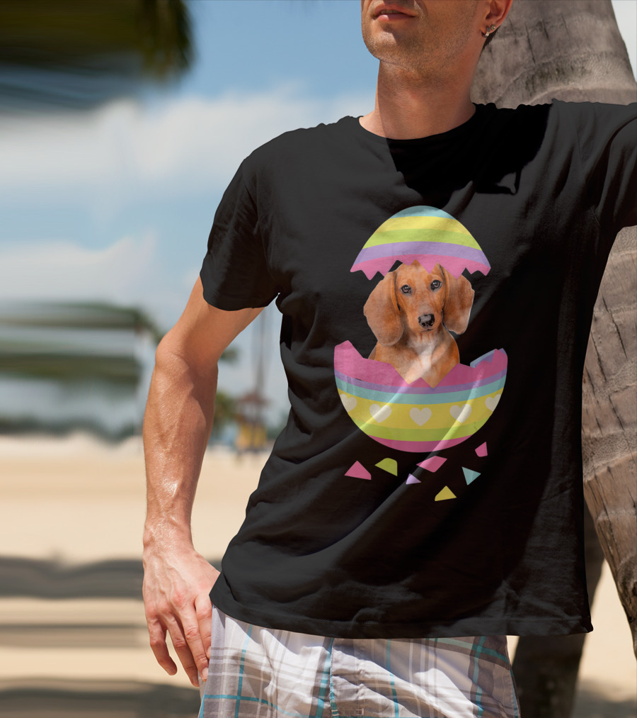 Dachshund In Colorful Easter Egg With Heart Stripes T-Shirt