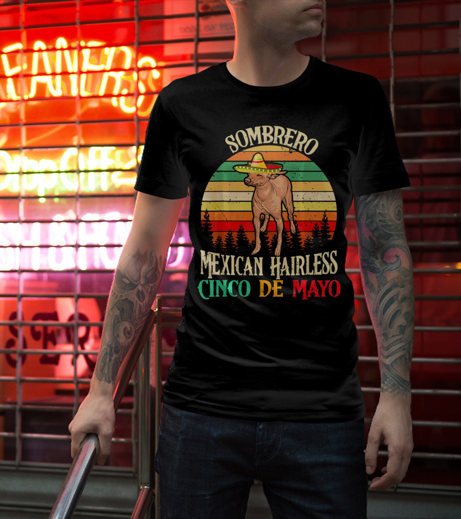 Sombrero Mexican Hairless Cinco De Mayo Vintage Sunset T-Shirt