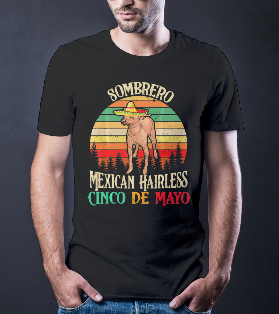 Sombrero Mexican Hairless Cinco De Mayo Vintage Sunset T-Shirt