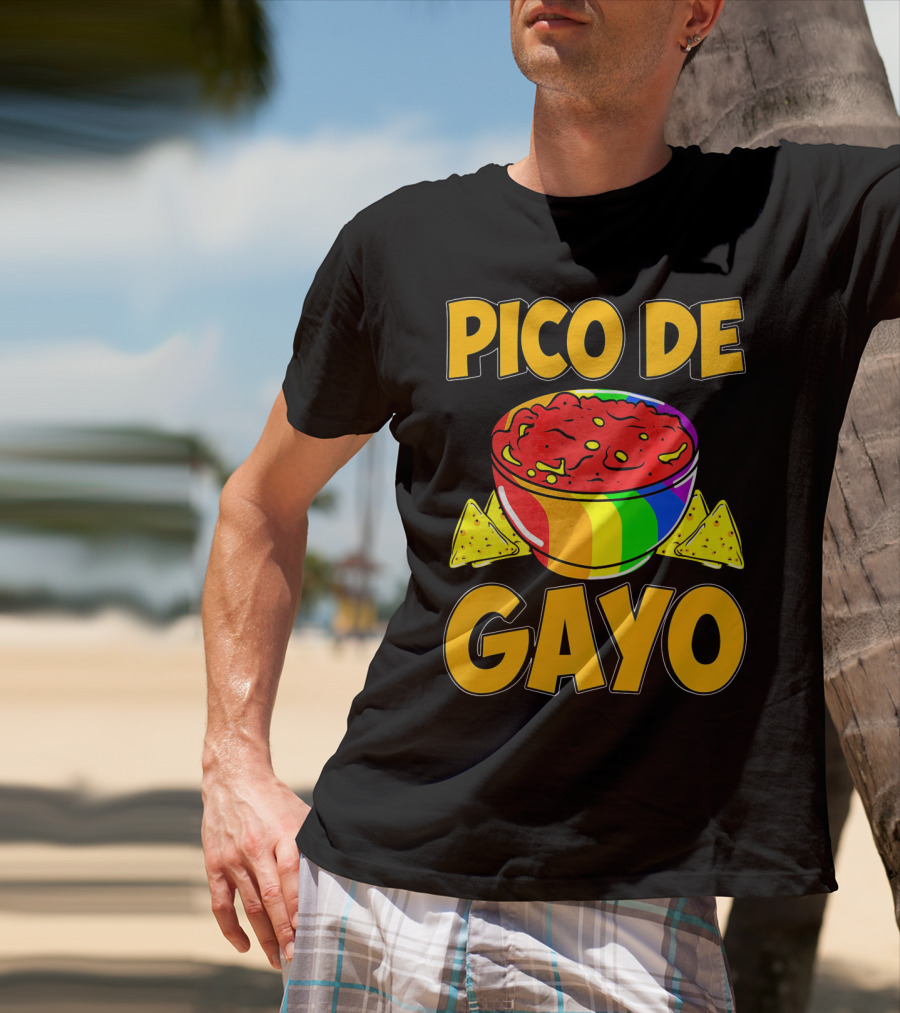 Pico De Gayo Cinco De Mayo Rainbow Salsa Bowl And Tortilla Chips T-Shirt