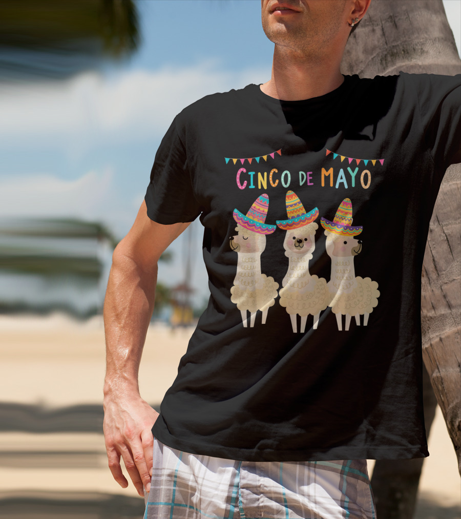 No ProbLlama Cinco De Mayo Llamas In Sombreros T-Shirt